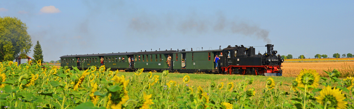 Döllnitzbahn von Oschatz nach Mügeln